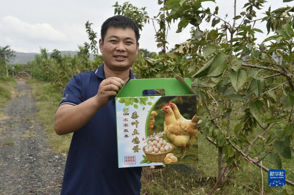 捕鱼达人四人对战